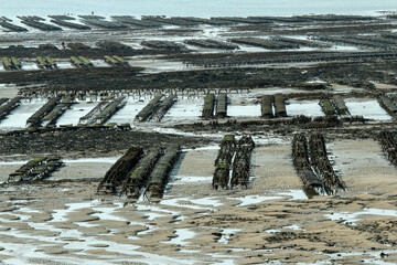 The picture from the oyster farm in Normandy in France at Gouville-sur-Mer during the low tide. 