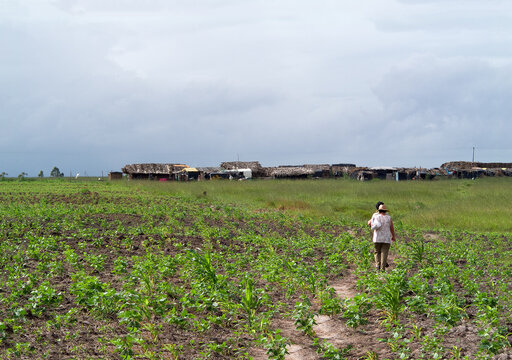 Bahia, Brazil: MST camp of the landless