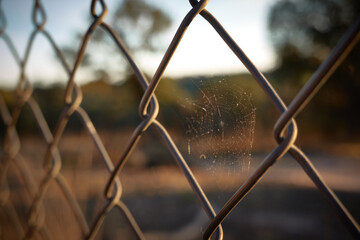 a spider web on the fence that runs through the mount of El Pardo in Madrid. Spain
