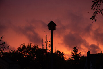 a birdhouse on a pole silhouetted at sunset