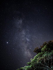 Starry Night and Milky Way.