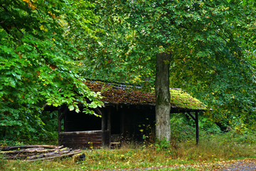 Hütte im Herbstwald im Oktober