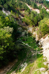 Beautiful and wild nature in Europe.  Colored and amazing landscape in Moldova.