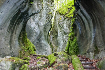 Schlucht Wanderweg