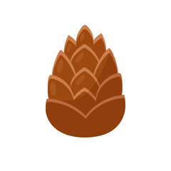 Pine cone. Vector illustration on white background.