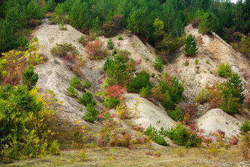 Beautiful and wild nature in Europe.  Colored and amazing landscape in Moldova.