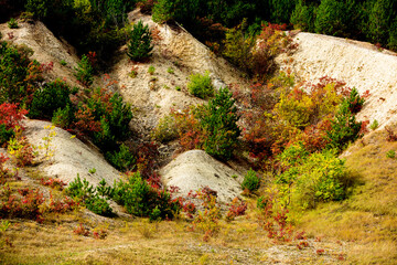 Beautiful and wild nature in Europe.  Colored and amazing landscape in Moldova.