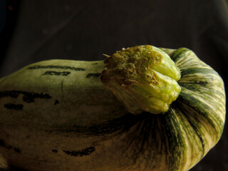 Calabacin, alimento puro y saludable