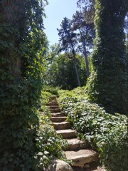 Fototapeta premium stairway to heaven