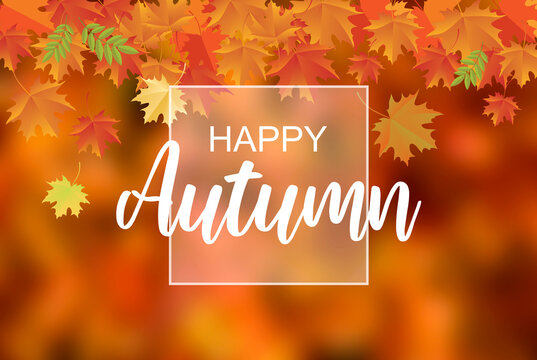 Happy Autumn wishes with falling orange leaves stock images. Happy Autumn quote stock images. Autumn background with Happy Autumn text images. Orange fall background