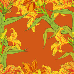 Vector seamless background. Day-lily. Flowers, buds and leaves on a black background. Use printed materials, signs, items, websites, maps, posters, postcards.