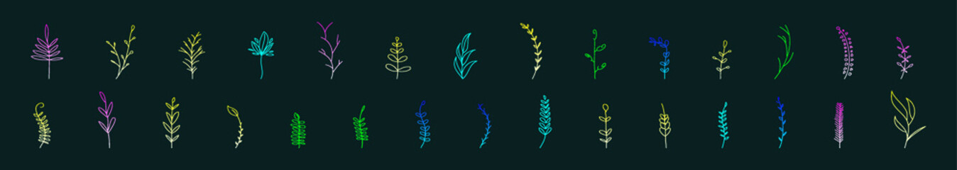 set of boho plants cartoon icon design template with various models. vector illustration isolated on dark background