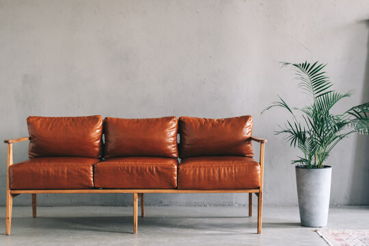 Interior detail of modern living room with brown leather sofa and home plants.