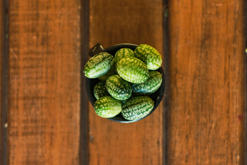 organic cucamelon in a cup wood background