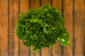 organic lettuce wood background