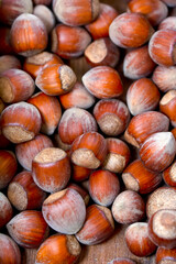 Macro shots, Beautiful HAZELNUT – Stock Image