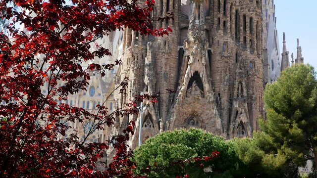 Top of Sagrada Familia, a large Roman Catholic church in Barcelona, Spain. Spires and cranes. Green trees, the blue cloudy sky on a spring day, 4k
