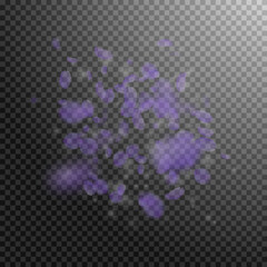 Violet flower petals falling down. Posh romantic f