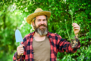 botanic worker. Trowel digging soil. Garden tools. seeds and soil. Spring in the garden. Farmer giving fertilizer. The gardener digging in garden. Work with garden trowel. mature man gardener