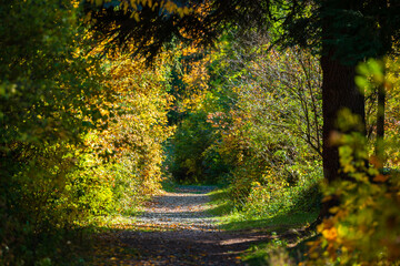Beautiful autumn landscape in Vanadzor's botanical garden