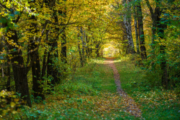 Beautiful autumn landscape in Vanadzor's botanical garden