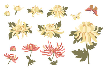 Japanese Chrysanthemums Set