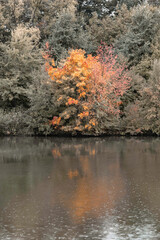 Herbstlich gefärbte Bäume am Fluss