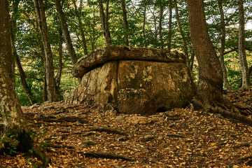 ancient megalith dolmen among trees in an autumn grove