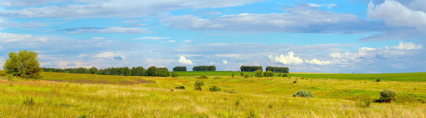 Beautiful panoramic rural view of green fields and far trees during summer evening