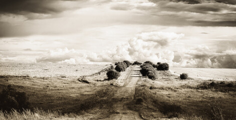 Fototapeta na wymiar Monochrome landscape with rural road made with sepia filter in retro style photography.