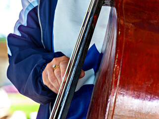 Upright Bass In Action