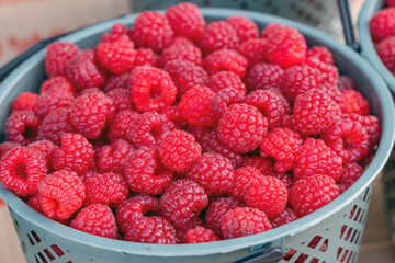 Container of a pile of Red Juicy Raspberries at the farmers market