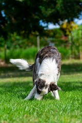 Fototapete bei efototapeten.de bestellen   