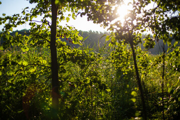 Fototapety na wymiar - Fototapeta24.pl