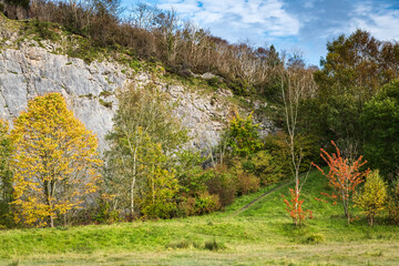 Fototapeta na wymiar A landscape image of autumnal trees at Warton Crag, a popular nature reserve in lancashire, England