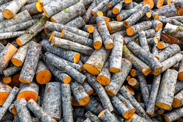 Chopped dry firewood as background