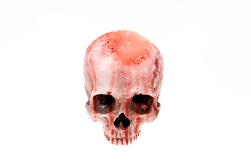 Skull covered in blood isolated on white background. Halloween horror concept.

