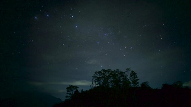 Breathtaking timelapse of night starry sky in the forest. Milky way is visible between trees. Clouds are passing fast. Shining stars moving on the left. Polar lights.