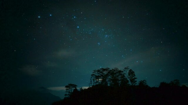Timelapse of night starry sky in the forest. Milky way is visible between trees. Clouds are passing fast. Shining stars moving on the right. Blue color. Polar lights.