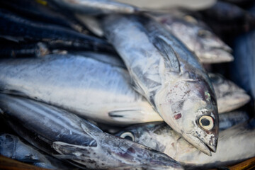Obraz premium Fresh tuna sale at traditional seafood market 
