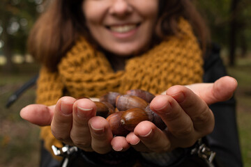 Detail photo of female hands holding wild acorns during the fall season in London, United Kingdom