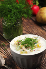 Russian traditional cold soup okroshka