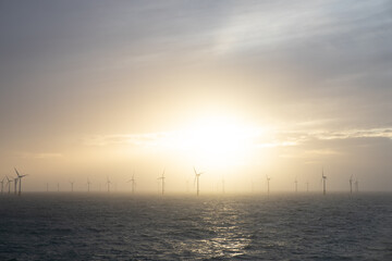 wind farm