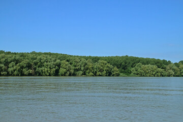 Río Danubio en su delta, ramal de Saint George. Vegetación en la orilla del río vista desde una embarcación cerca de Tulcea, Rumanía.