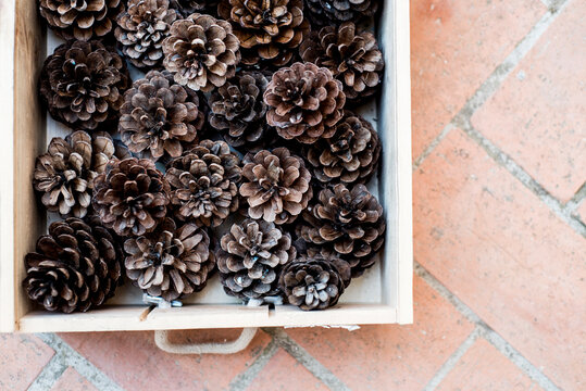 box with dried pine cones