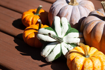 gourds tight close