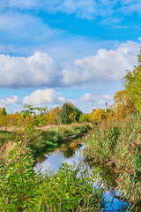 Fototapeta na wymiar Sunny autumn mood at a small creek in the surrounding countryside of Berlin, Germany.