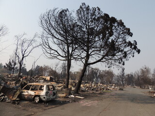 Almeda fire aftermath 