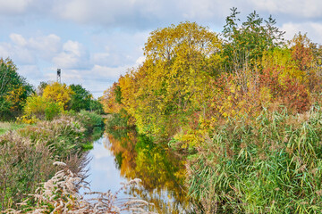 Obraz premium Sunny autumn mood at a small creek in the surrounding countryside of Berlin, Germany.