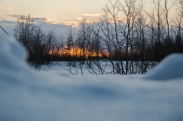 Sunny winter sunset on snow background.
